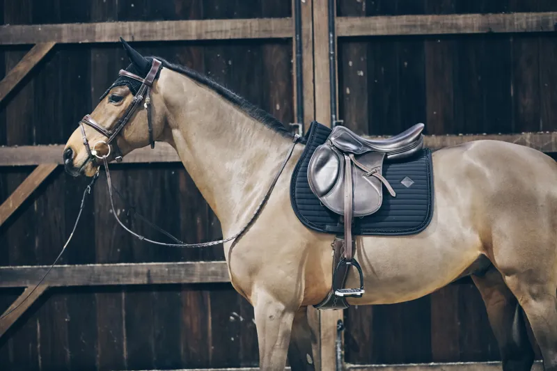 Kentucky Jumping Pearls Saddle Pad in Black-6