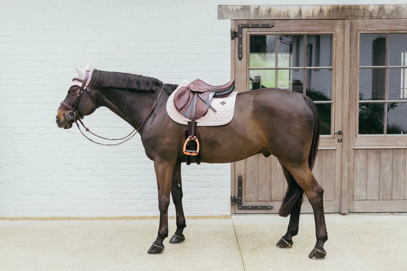 Kentucky Jumping Saddle Pad with Plaited Cord in Light Rose-2