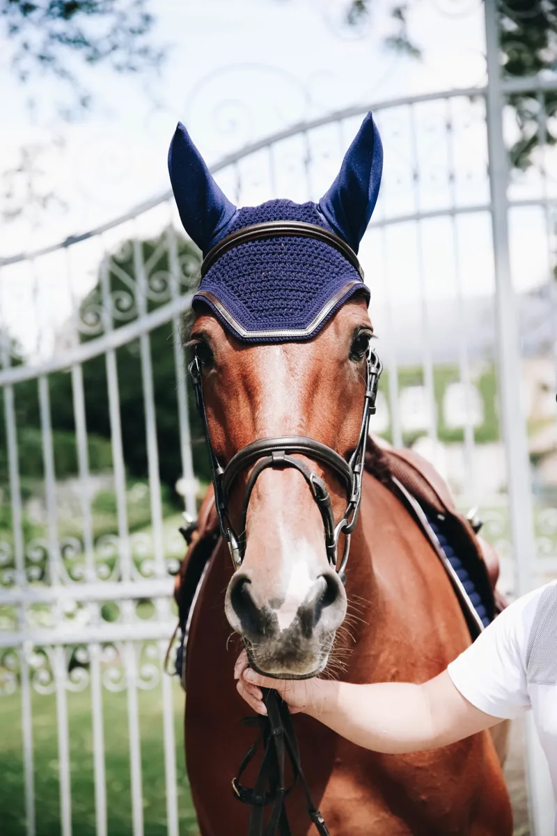 Kentucky Leather Wellington Fly Veil in Dark Navy-2