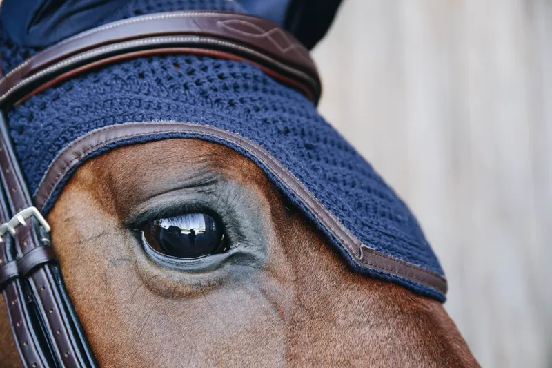 Kentucky Leather Wellington Fly Veil in Dark Navy-4