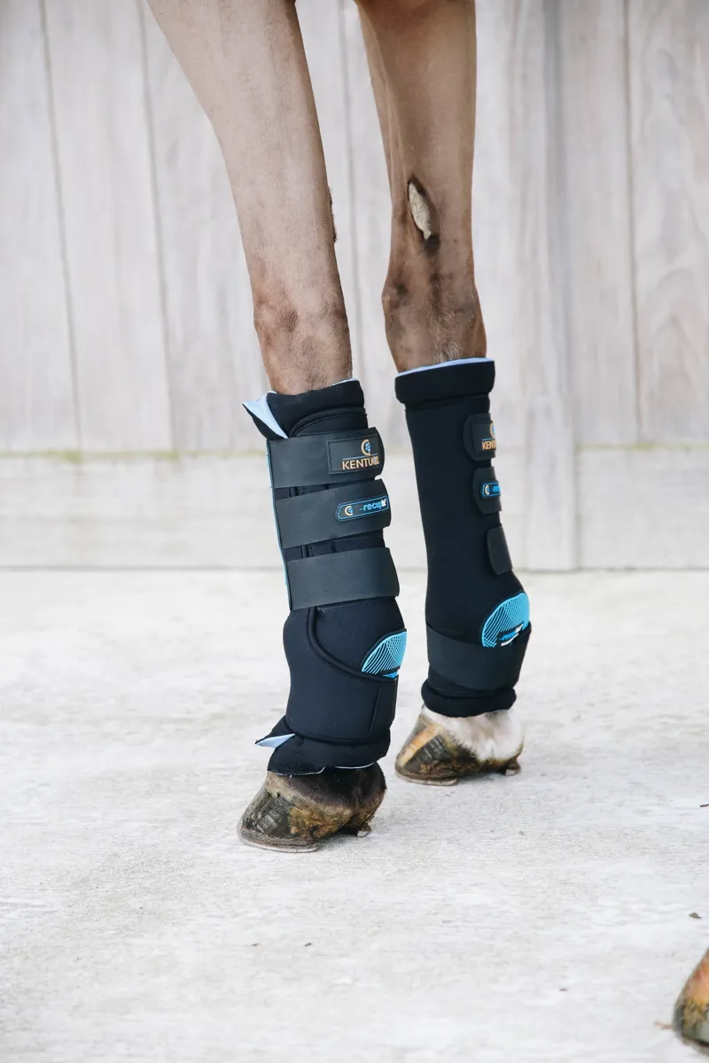Kentucky Magnetic Stable Boots Recuptex in Black-4