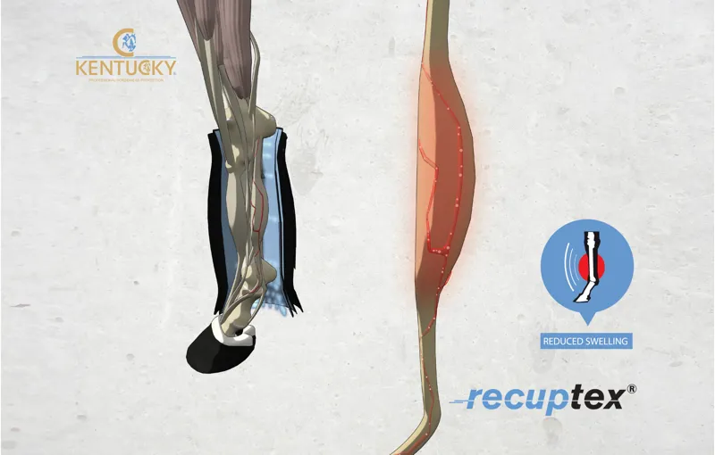 Kentucky Magnetic Stable Boots Recuptex in Black-8