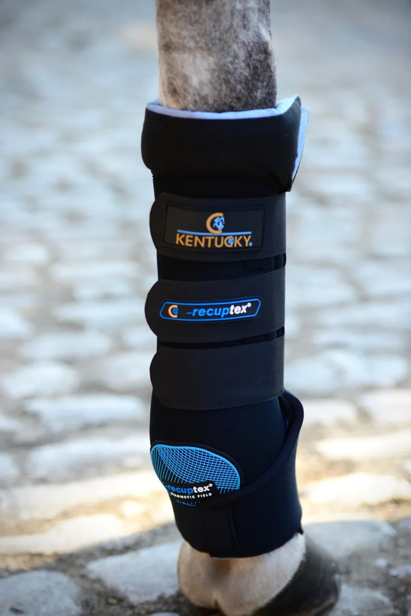 Kentucky Magnetic Stable Boots Recuptex in Black-5