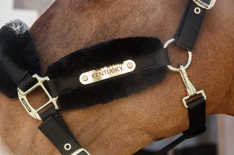 Kentucky Nylon Sheepskin Halter Soft in Black-3