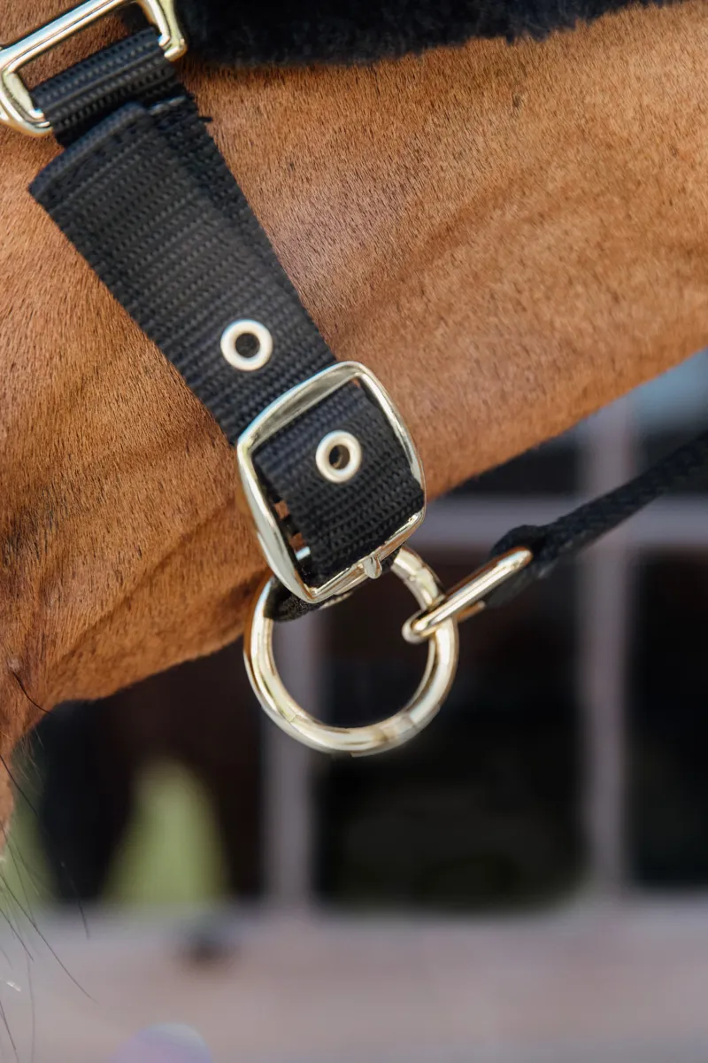 Kentucky Nylon Sheepskin Halter Soft in Black-4