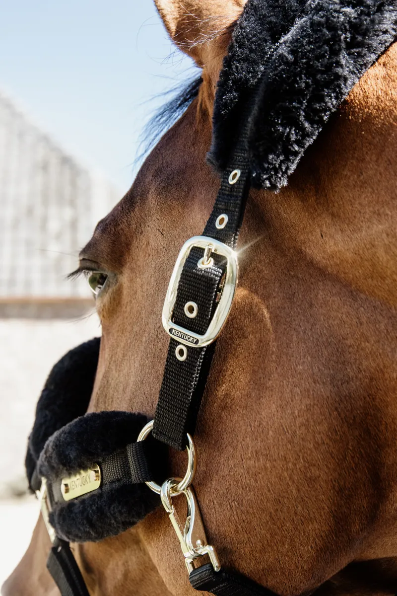 Kentucky Nylon Sheepskin Halter Soft in Black-5