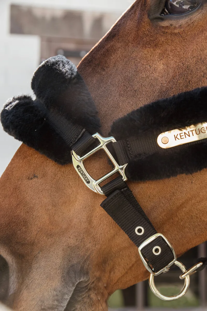 Kentucky Nylon Sheepskin Halter Soft in Black-6
