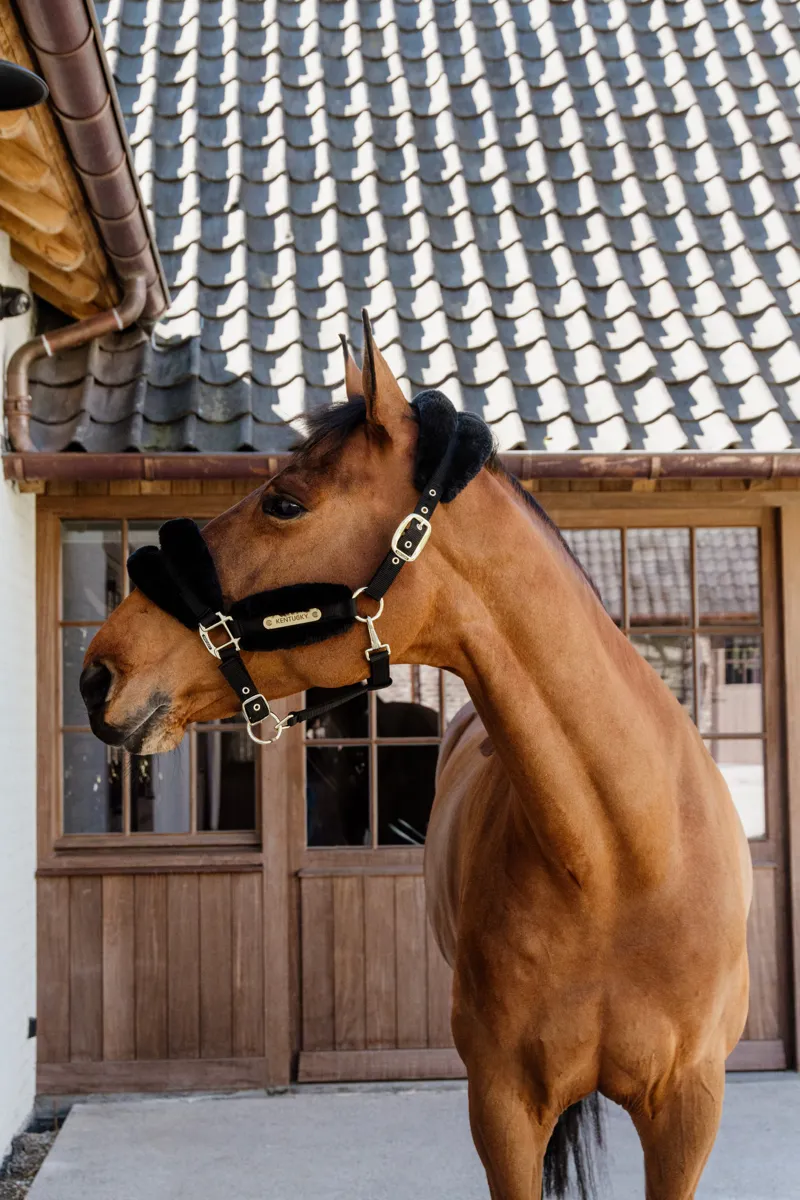 Kentucky Nylon Sheepskin Halter Soft in Black-2