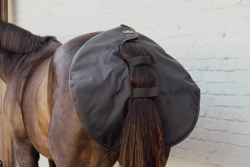 Kentucky Quarter Guard in Black-2