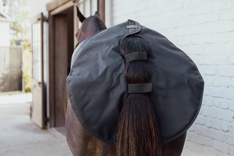 Kentucky Quarter Guard in Black-1