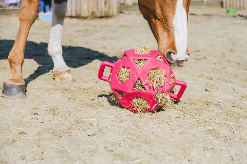 Kentucky Relax Horse Play and Hay Ball in Pink-4