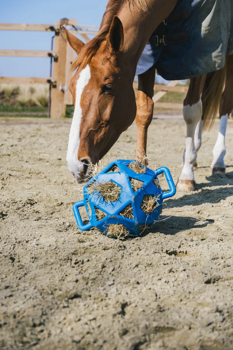 Kentucky Relax Horse Play and Hay Ball in Royal Blue-2