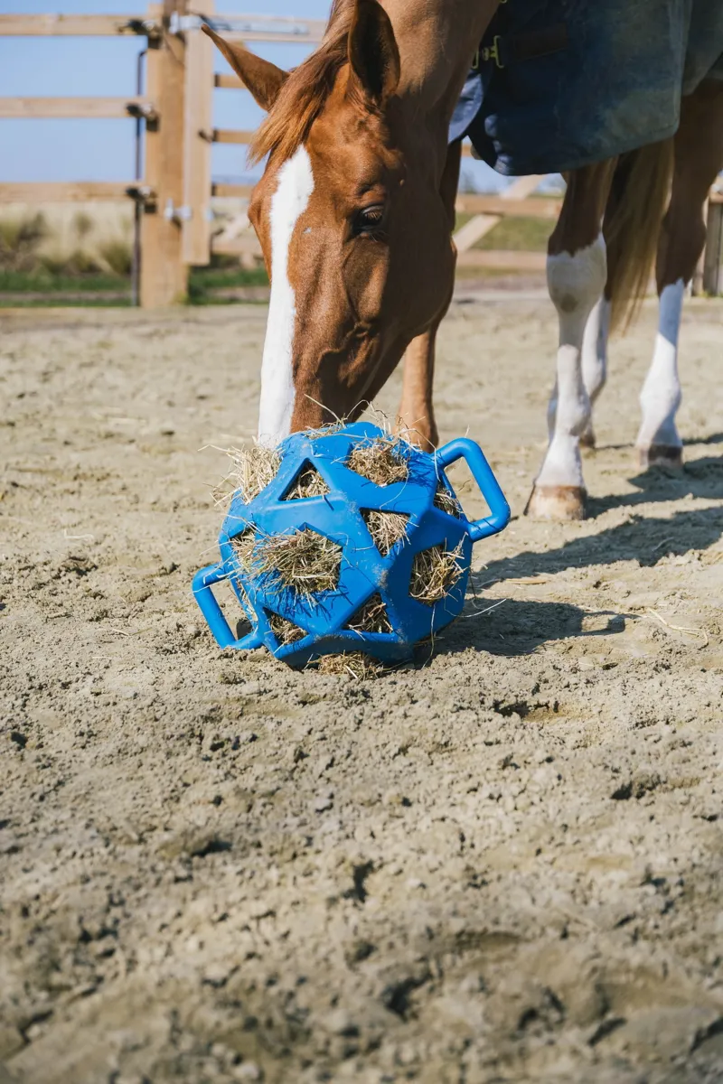 Kentucky Relax Horse Play and Hay Ball in Royal Blue-3