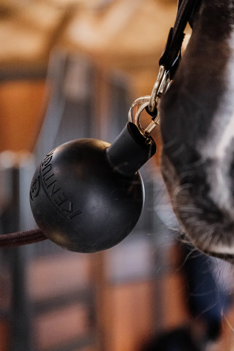 Kentucky Rubber Ball Wall and Lead Protector in Black-2