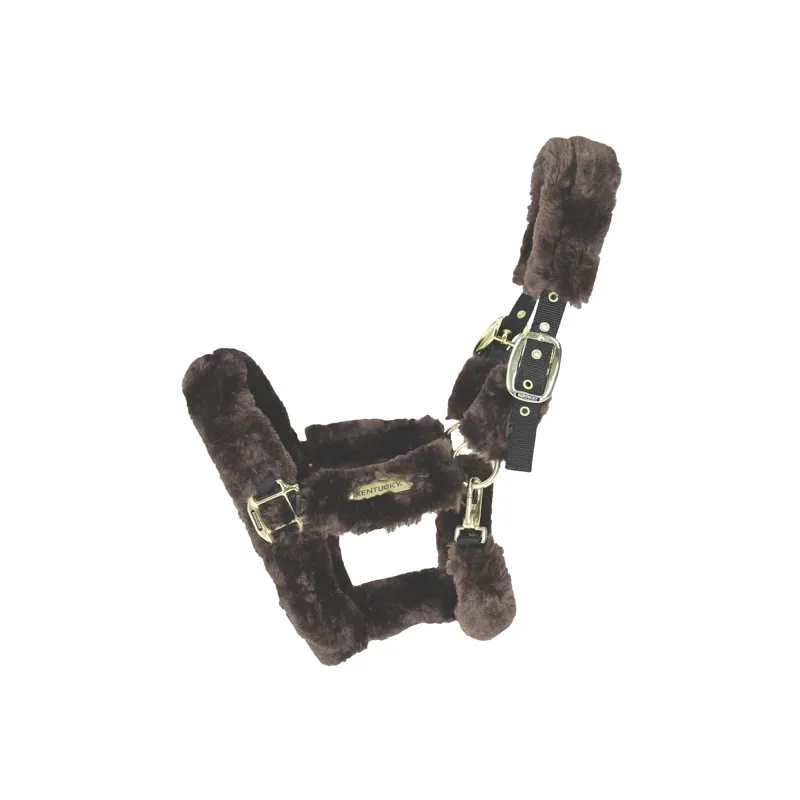 Kentucky Horsewear Sheepskin Travel Headcollar in Brown