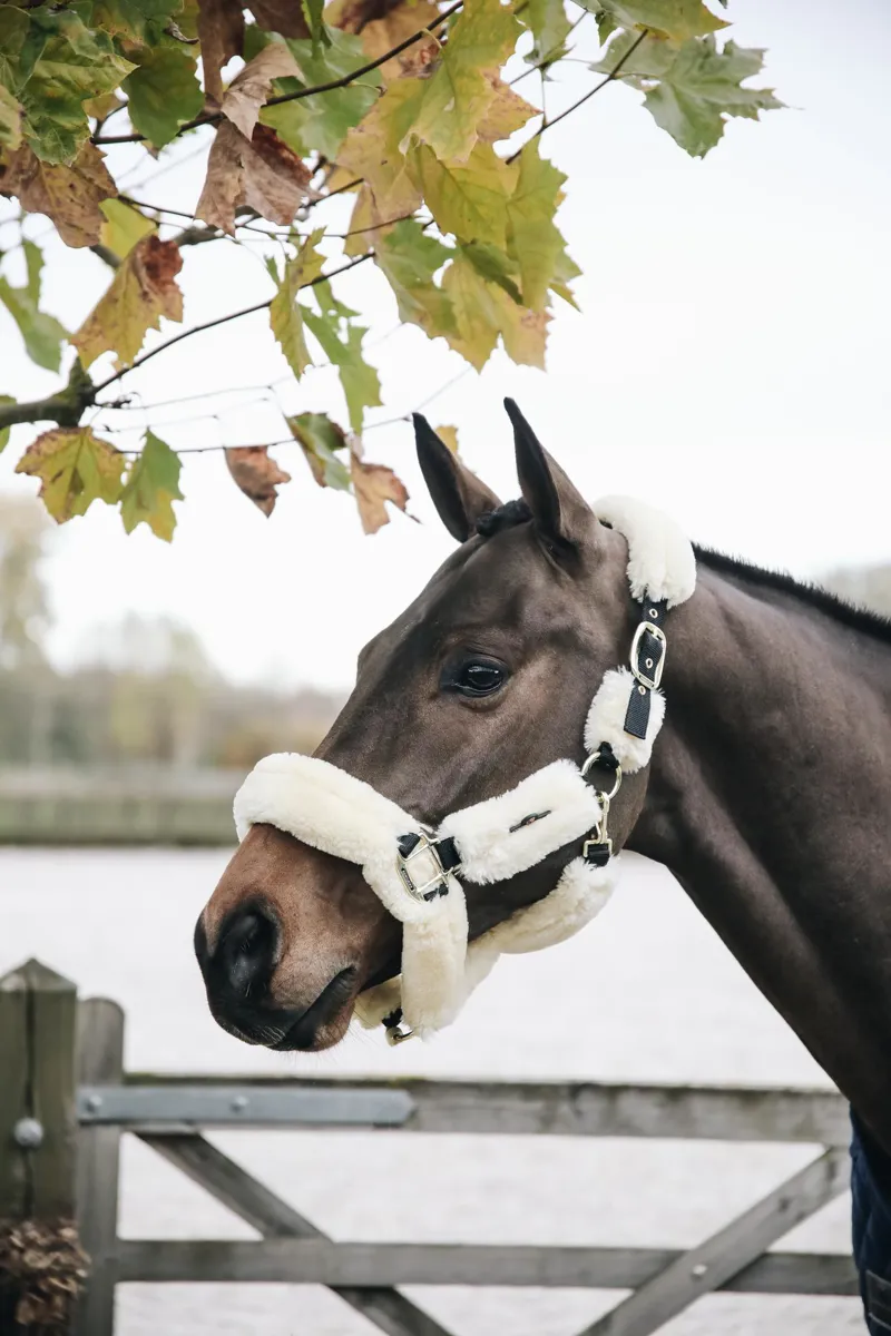 Kentucky Horsewear Sheepskin Travel Headcollar in Beige-2