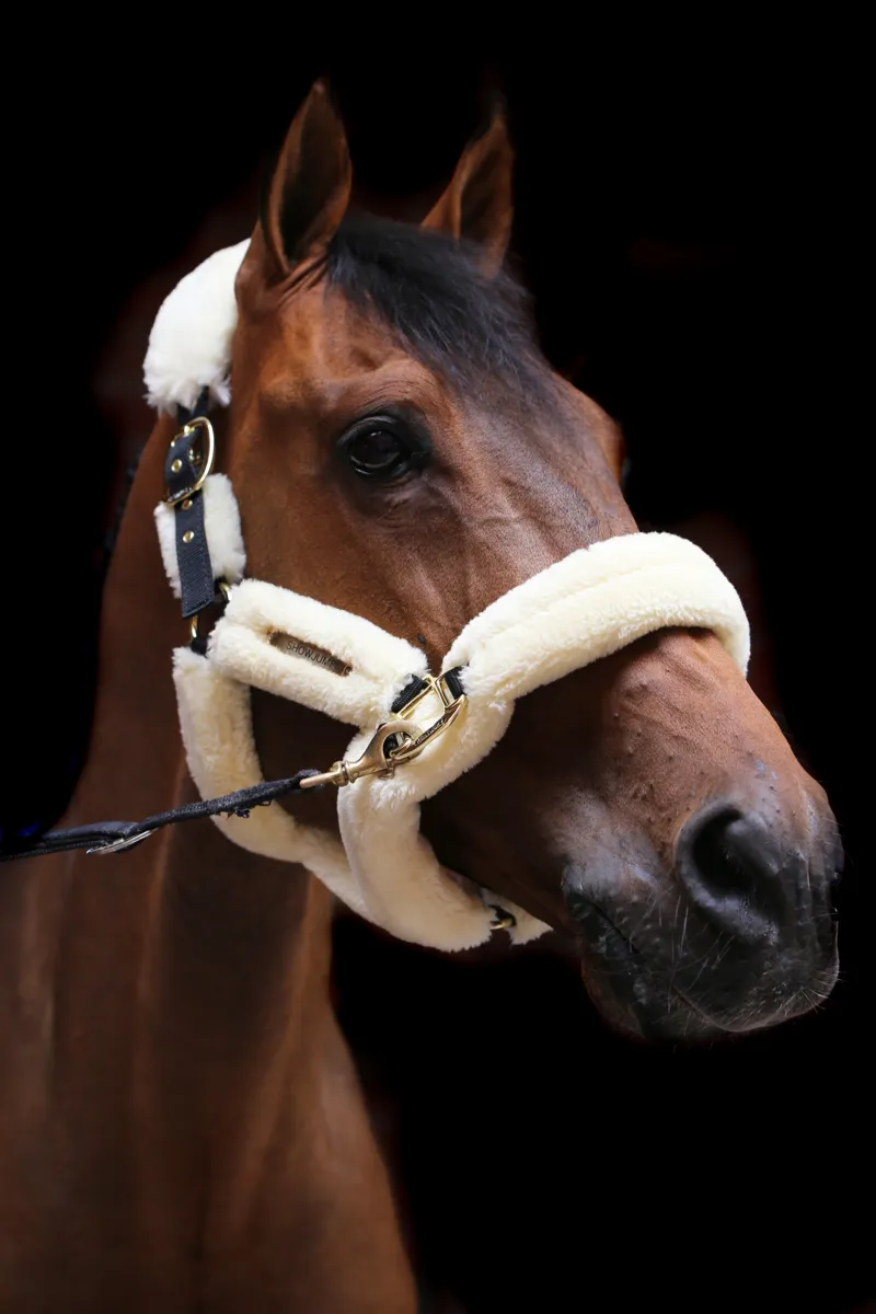 Kentucky Horsewear Sheepskin Travel Headcollar in Beige-3