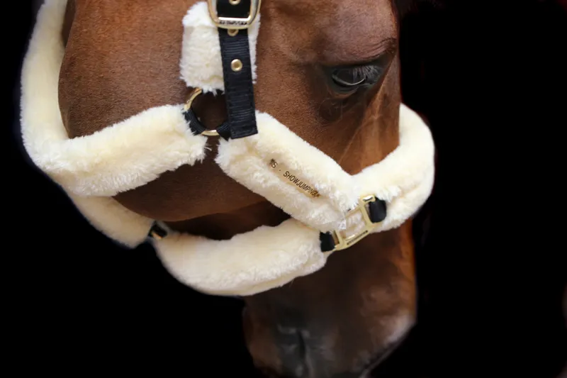 Kentucky Horsewear Sheepskin Travel Headcollar in Beige-4