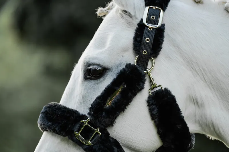 Kentucky Sheepskin Travel Headcollar in Black-3