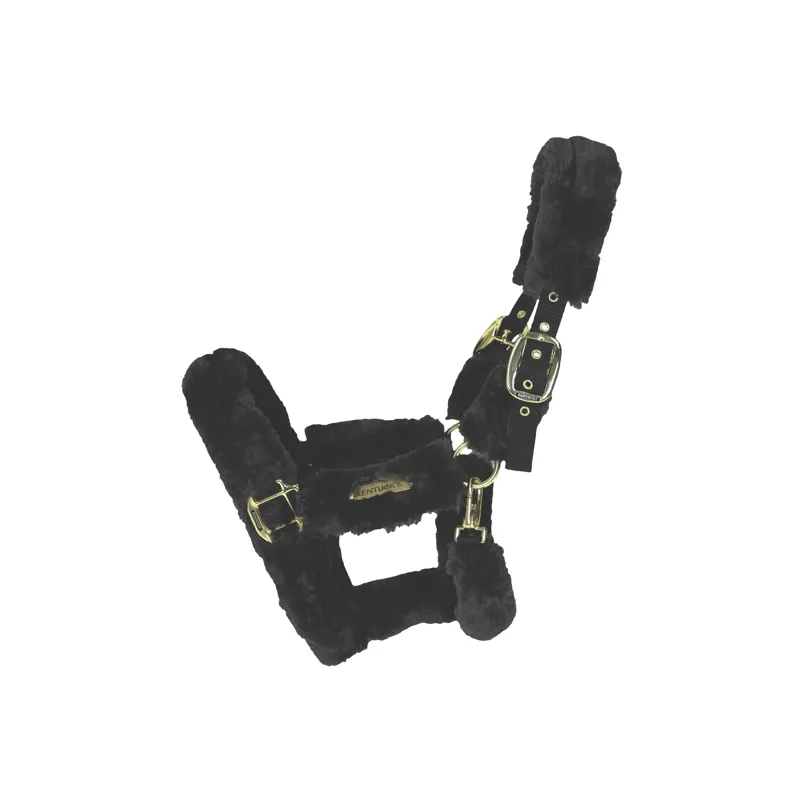 Kentucky Horsewear Sheepskin Travel Headcollar in Black