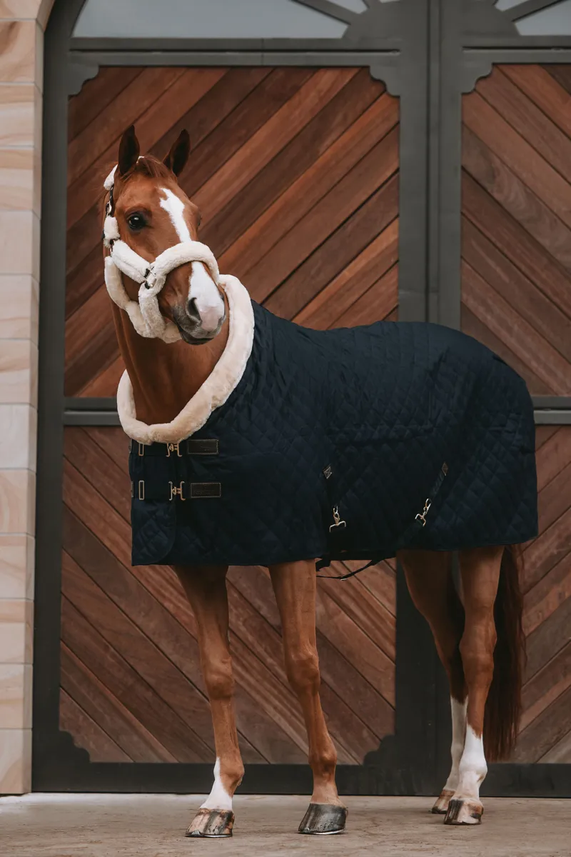 Kentucky Show Rug in Black-1