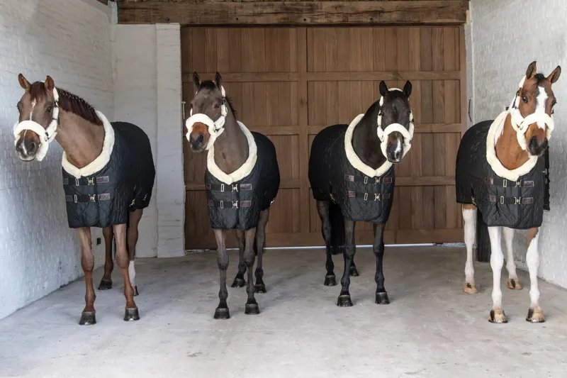 Kentucky Show Rug in Black-5