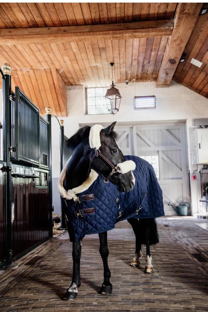 Kentucky Show Rug in Navy-3