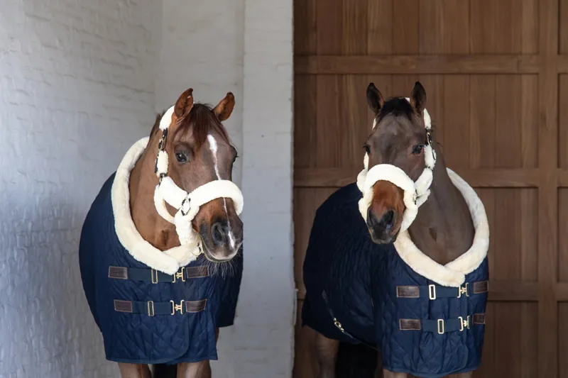 Kentucky Show Rug in Navy-4