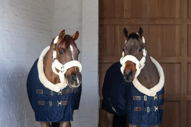 Kentucky Show Rug in Navy-3