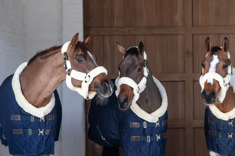 Kentucky Show Rug in Navy-4