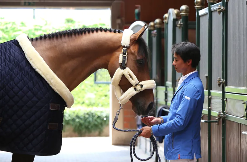 Kentucky Show Rug in Navy-5