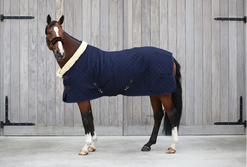 Kentucky Show Rug in Navy-2
