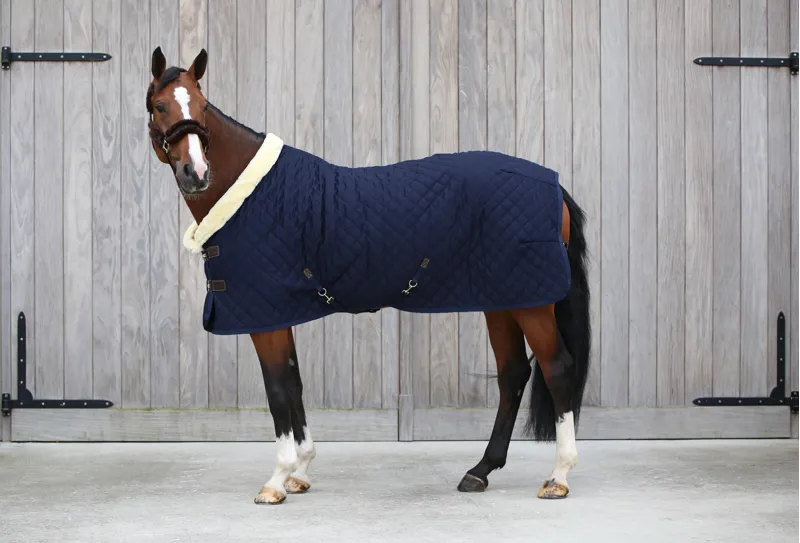 Kentucky Show Rug in Navy-1