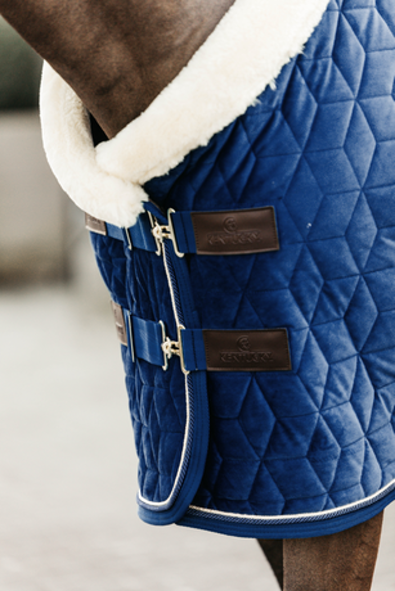Kentucky Show Rug Velvet in Navy-3
