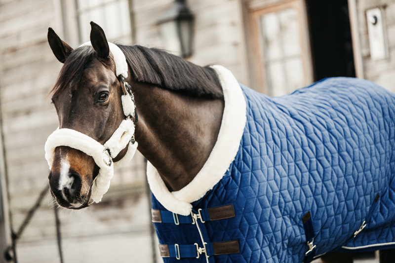 Kentucky Show Rug Velvet in Navy-5