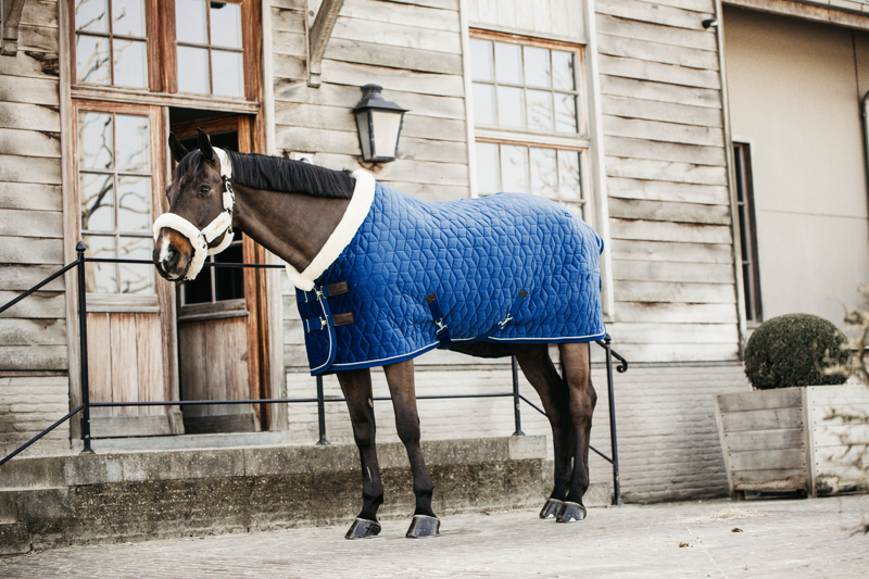 Kentucky Show Rug Velvet in Navy-6