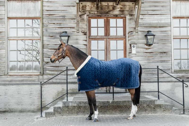 Kentucky Show Rug Velvet in Navy-2