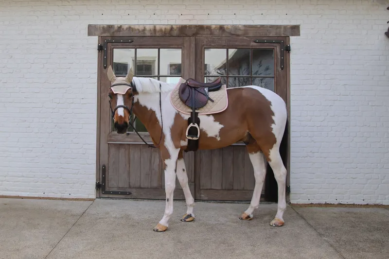 Kentucky Softshell Onion Quilt Jumping Saddle Pad in Beige and Old Rose-2