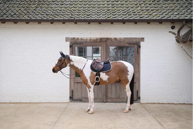 Kentucky Softshell Onion Quilt Jumping Saddle Pad in Navy and Beige-1