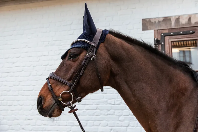 Kentucky Soundless Wellington Fly Veil with Glitter Stone in Dark Navy-3