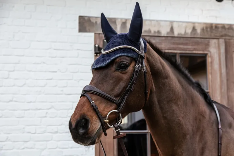 Kentucky Soundless Wellington Fly Veil with Glitter Stone in Dark Navy-4