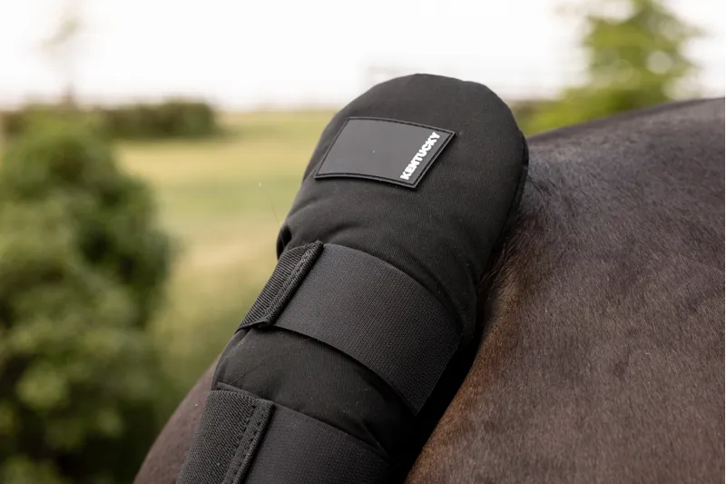 Kentucky Tail Guard Pro in Black-5