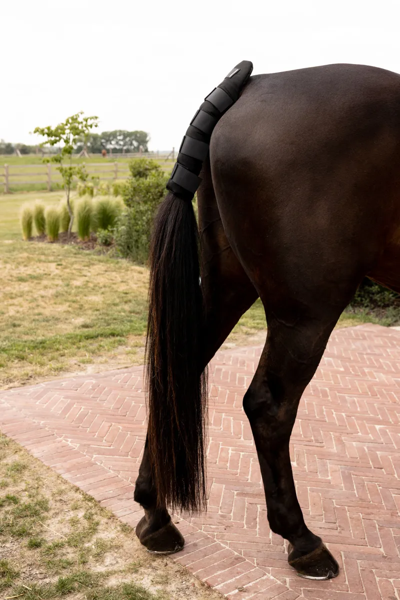 Kentucky Tail Guard Pro in Black-6