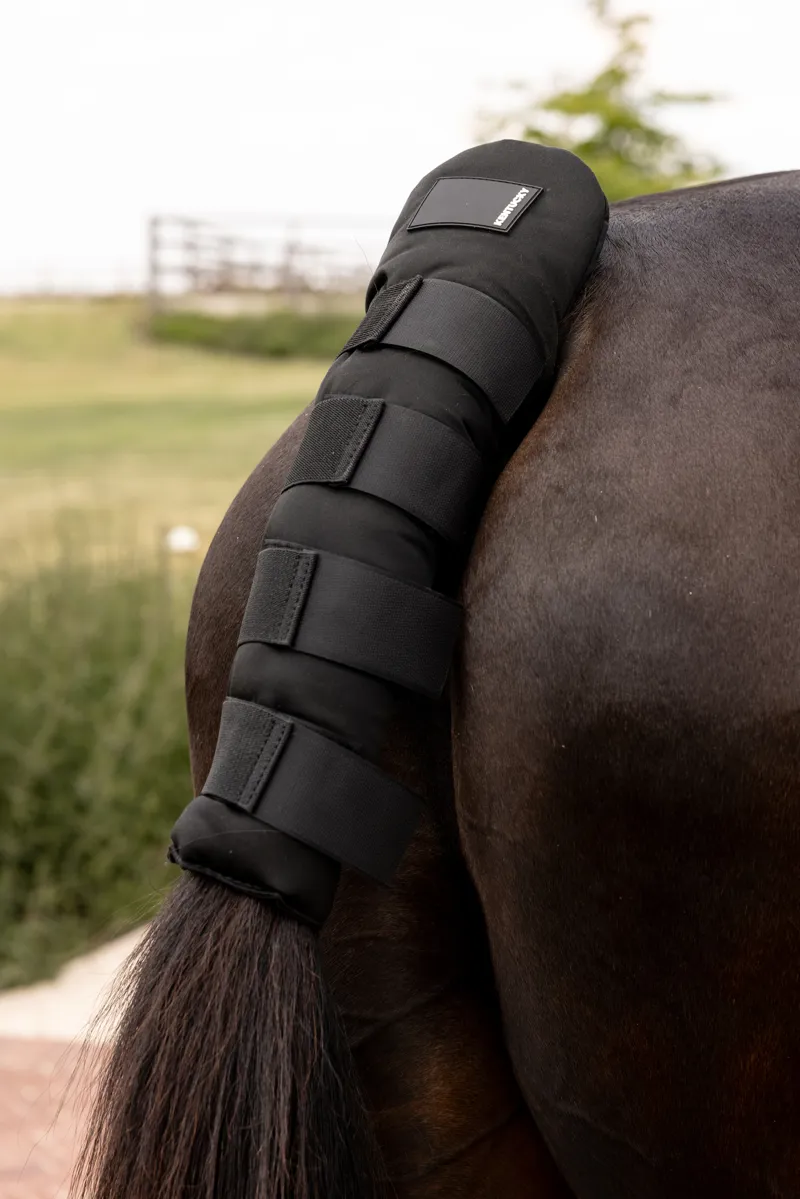 Kentucky Tail Guard Pro in Black-4