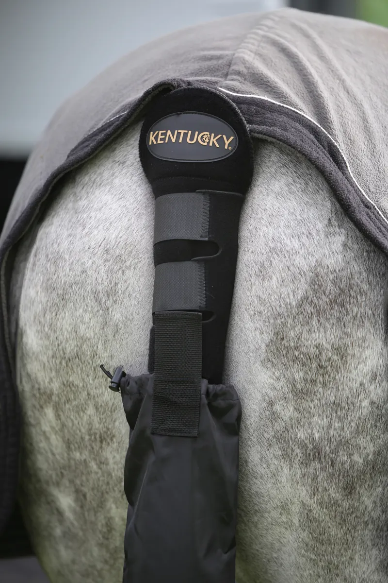 Kentucky Tail Guard and Tail Bag in Black-2