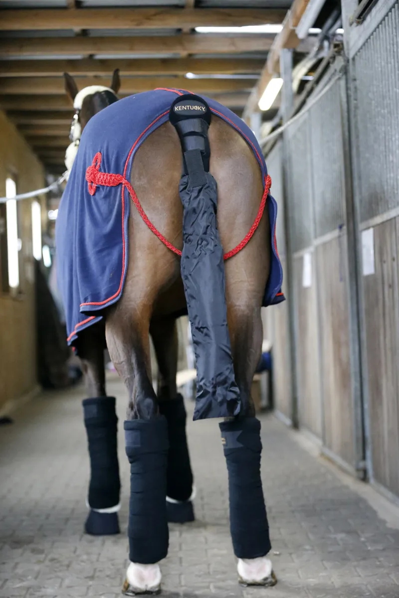 Kentucky Tail Guard and Tail Bag in Black-1