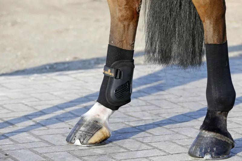 Kentucky Tendon Grip Gel Sock in Black-6