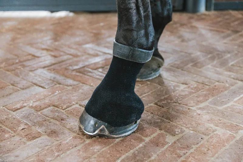 Kentucky Tendon Grip Gel Sock in Black-2