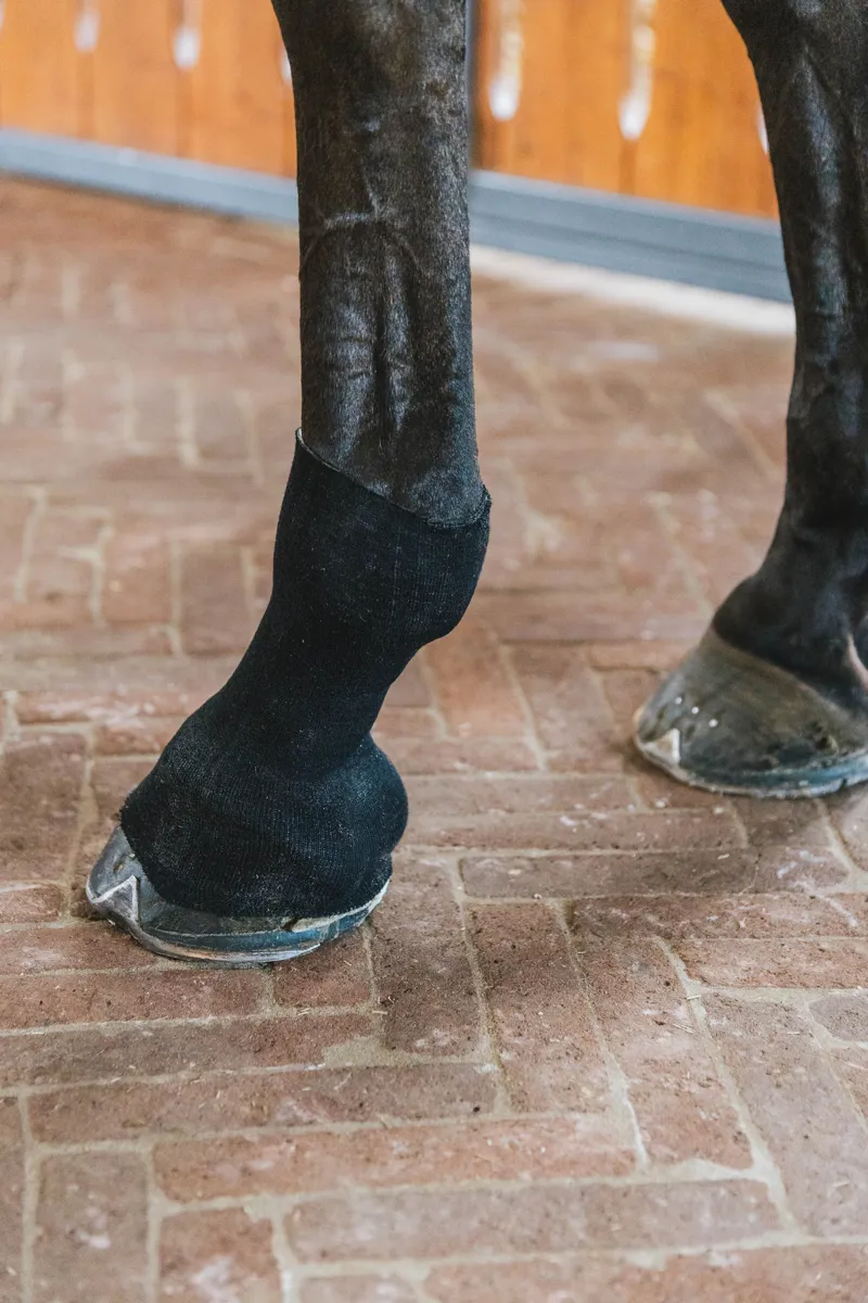 Kentucky Tendon Grip Gel Sock in Black-3