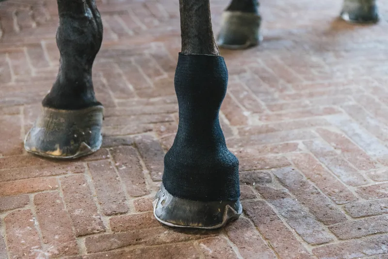 Kentucky Tendon Grip Gel Sock in Black-4